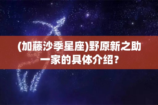 (加藤沙季星座)野原新之助一家的具体介绍？