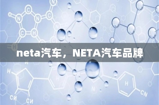 neta汽车，neta汽车品牌