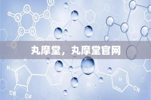 丸摩堂，丸摩堂爱游戏官网登录入口官网