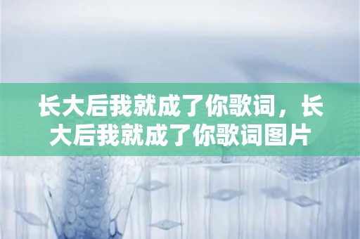 长大后我就成了你歌词，长大后我就成了你歌词图片