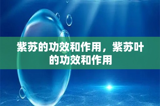 紫苏的功效和作用，紫苏叶的功效和作用