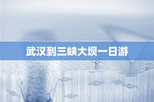 武汉到三峡大坝一日游