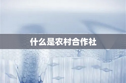 什么是农村合作社