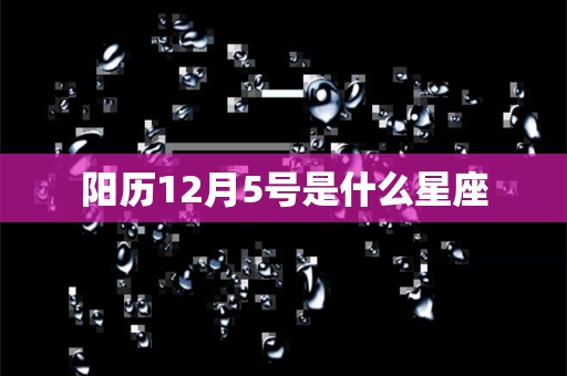 阳历12月5号是什么星座