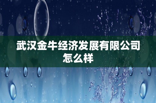 武汉金牛经济发展有限公司怎么样