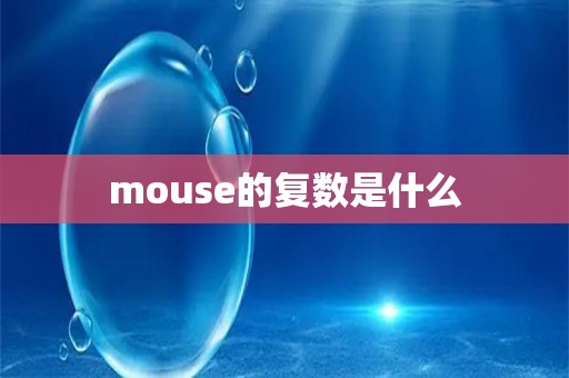 mouse的复数是什么