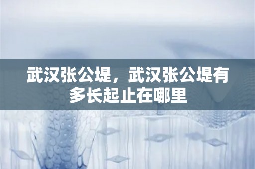 武汉张公堤，武汉张公堤有多长起止在哪里