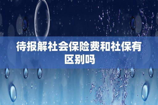 待报解社会保险费和社保有区别吗