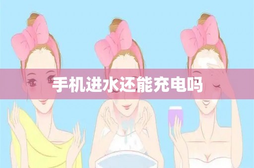 手机进水还能充电吗