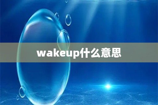 wakeup什么意思