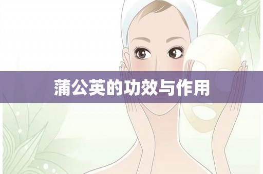 蒲公英的功效与作用