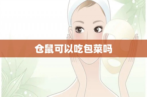 仓鼠可以吃包菜吗