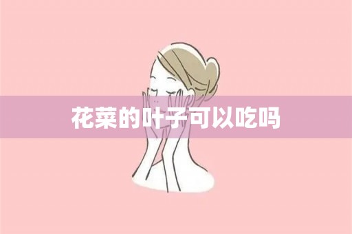 花菜的叶子可以吃吗