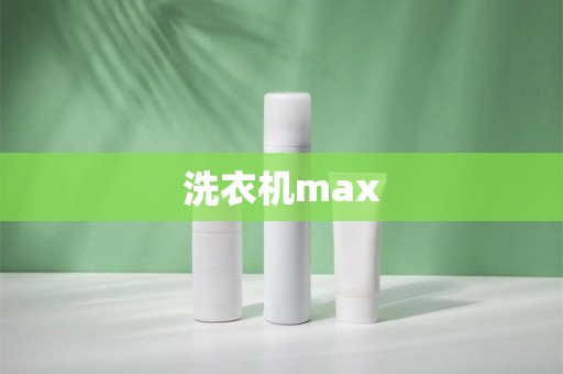 洗衣机max