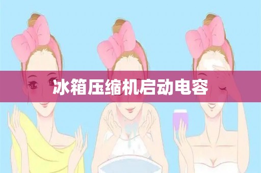 冰箱压缩机启动电容