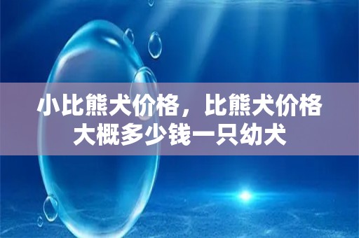 小比熊犬价格，比熊犬价格大概多少钱一只幼犬