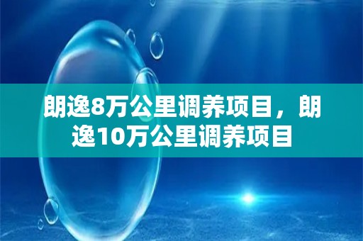 朗逸8万公里调养项目，朗逸10万公里调养项目