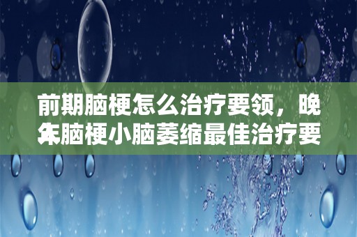 前期脑梗怎么治疗要领，晚年
人脑梗小脑萎缩最佳治疗要领