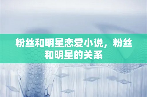 粉丝和明星恋爱小说，粉丝和明星的关系